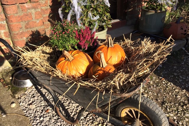 Award-winning glamping site Humble Bee Farm at Flixton, between Scarborough and Filey, will be open for its annual half-term Pumpkin Patch and Halloween Trail event from October 22 to 29. This year promises to be full of pumpkin carving fun and spooky excitement with new elements to the event! 



Time slots are 10am, 11am, 12noon or 1pm subject to availability.