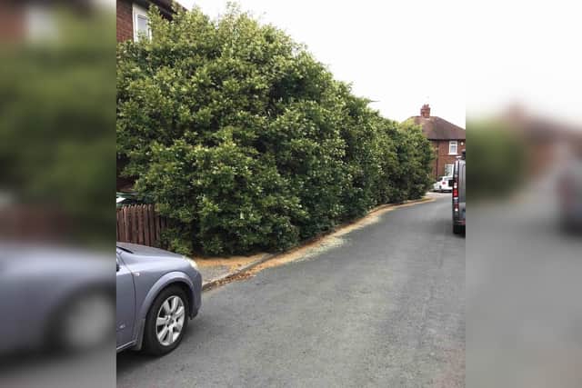 In 2023 East Riding of Yorkshire Council received 750 reports about overgrown vegetation.