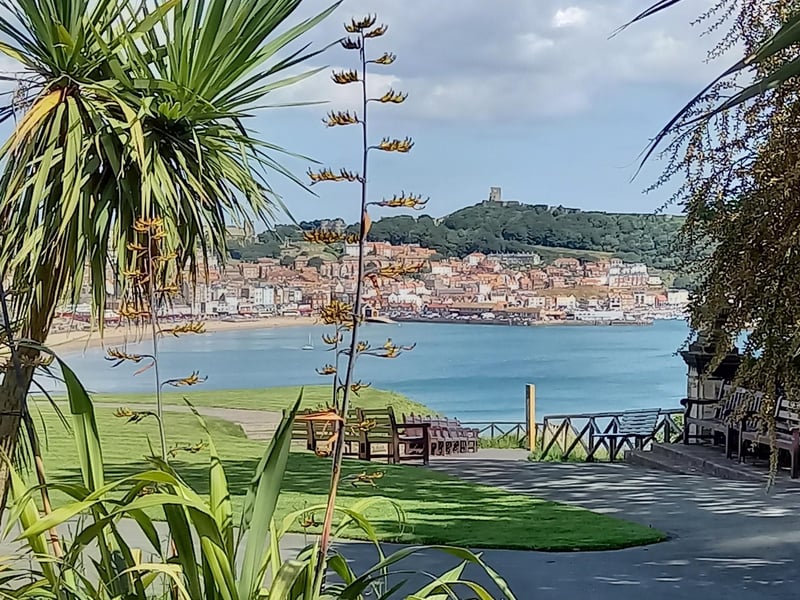 The beauty of Scarborough peeping through the trees!