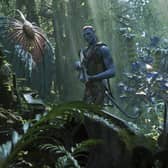 Hollywood Plaza has lined up a programme of award-winning films including Avatar 2 for this week