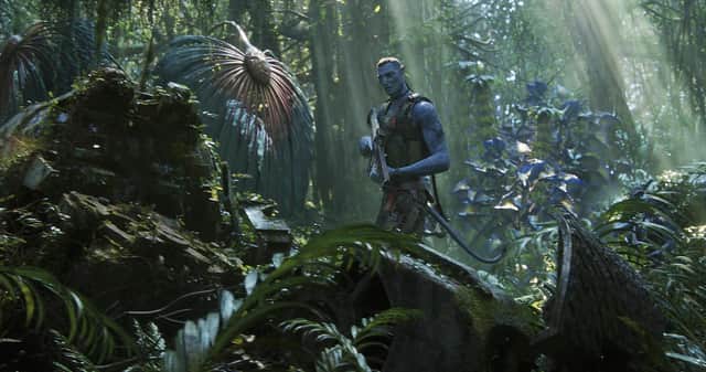 Hollywood Plaza has lined up a programme of award-winning films including Avatar 2 for this week