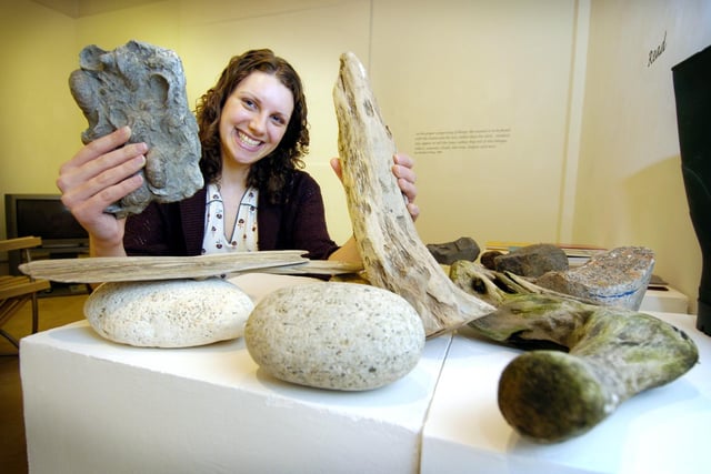 Exhibition at Scarborough Art Gallery, Nature Intended.
