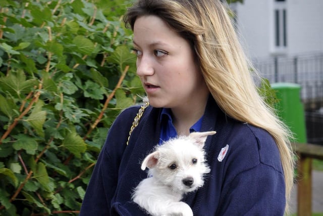 And puppy comes too, on A level and As exam results day at Scarborough 6th Form College in 2012.