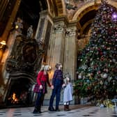 Castle Howard's new installation Alice in Wonderland. picture: Charlotte Graham.