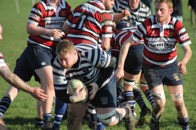 Jack Helme powers over to score for the Pocklington RUFC Panthers at Driffield. PHOTO BY PHIL GILBANK