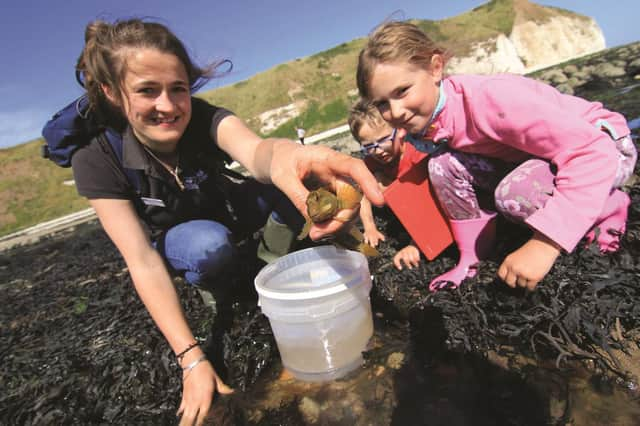 Rockpool Safaris are held at South Landing. Photo: Tom Marshall