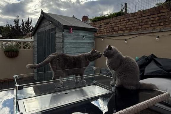 Len and Stella having a quiet moment together.