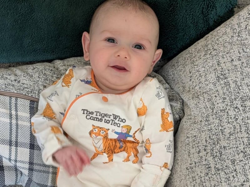 The Tiger Who Came to Tea, sent in by Jade Malton.