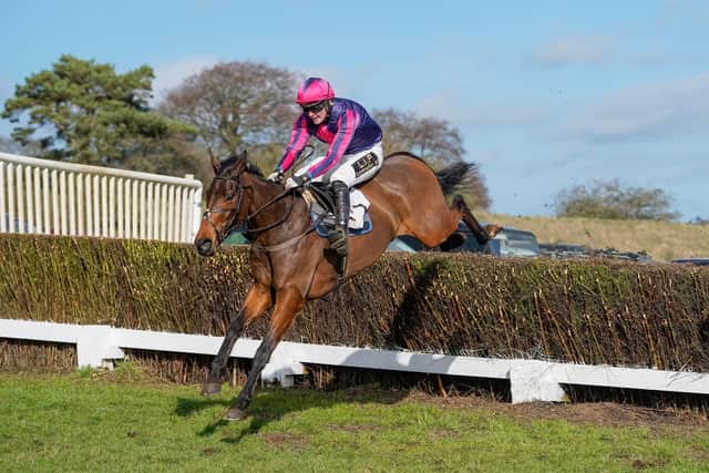 Racegoers will be able to enjoy more Charm Park action this weekend. Photo by Tom Milburn Photography