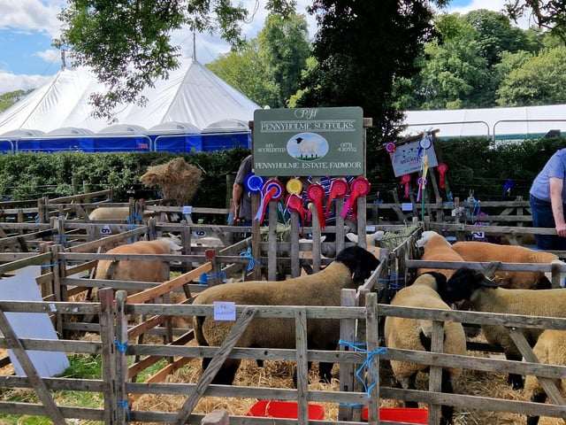 Award-winning breeders proudly showed off their rosettes