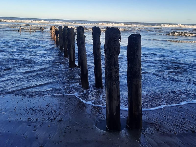 Timber groynes on the beach.
picture: Penny McDermott.