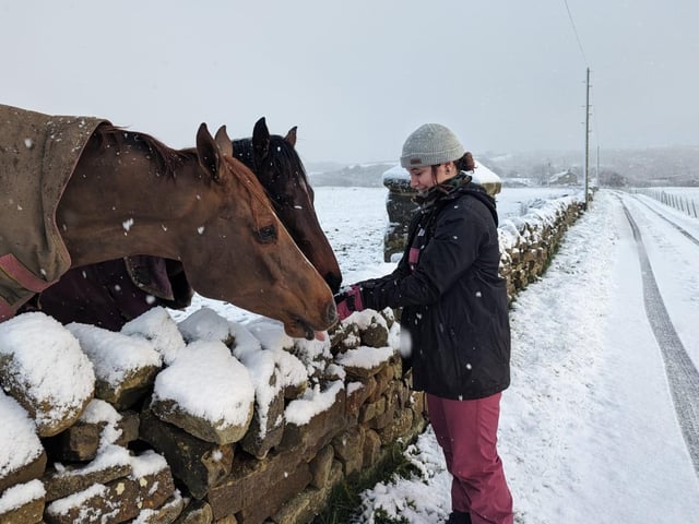 Never too cold to see some horses.