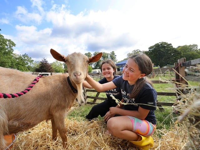 Lola and Lilly working at the show.