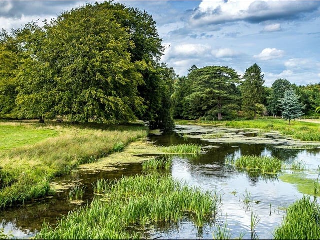 Scampston lake
