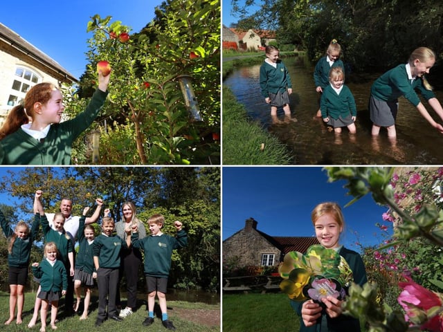 Going wild at Brompton and Sawdon Primary School