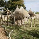 Animals including Pygmy Goats and Cameroon Sheep are set to be housed in three new themed paddocks at Sewerby Hall’s zoo.