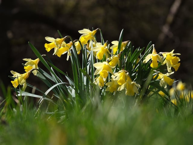 Spring has sprung