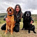 Rachel Bean is giving this advice to Scarborough dog owners - Animal News Agency