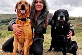Rachel Bean is giving this advice to Scarborough dog owners - Animal News Agency