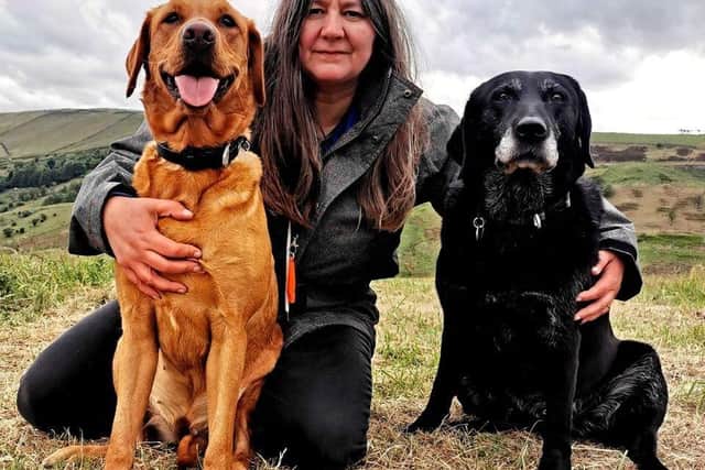 Rachel Bean is giving this advice to Scarborough dog owners - Animal News Agency