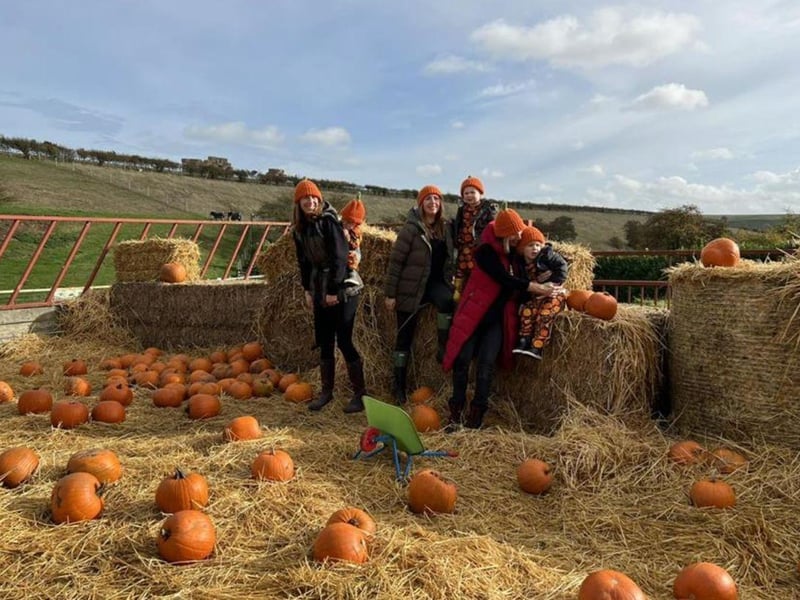 Humble Bee Farm's Pumpkin Patch and Spooky Trail is located in  Flixton, Scarborough and will be open on various dates between October 14 and November 4. Visitors can pick their own pumpkin and carve it in the farm's undercover barn. People can also take an exciting walk around their Halloween Spooky Trail - new for 2023. There will be two trails to complete, including one for younger visitors. These events are dog friendly but all dogs must be kept on leads.