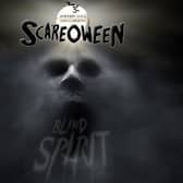 Sewerby Hall are seeking actors to help add to the spooky experience of their Halloween event in October.