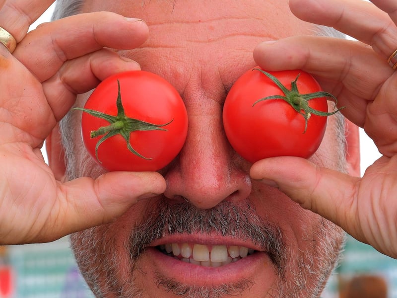 Steve Wright has eyes on the prize, with his super tomatoes.
picture: Richard Ponter