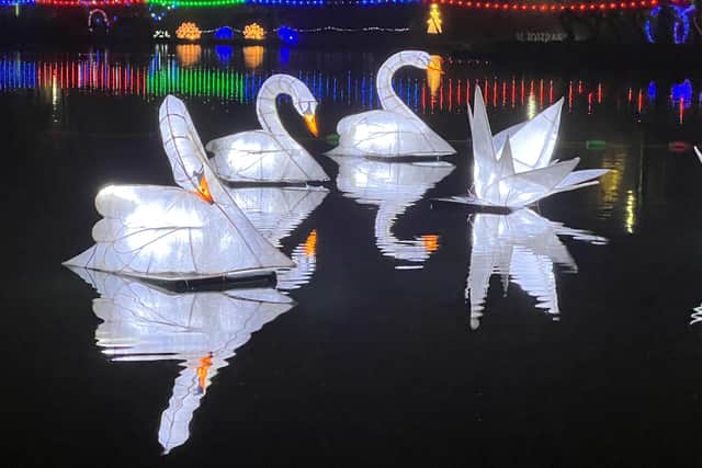 Swans of Light - glowing swan lanterns gracefully float on lake.