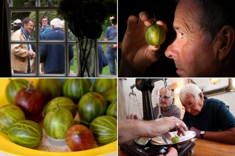 Another great day at the Egton Bridge Gooseberry Show.