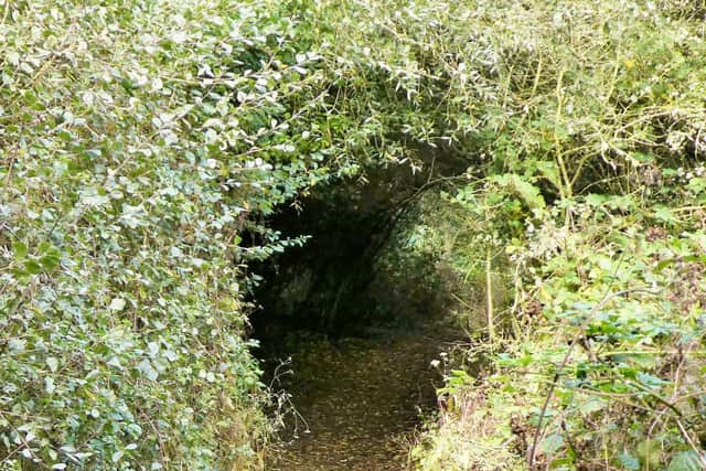 Path on The Ings.