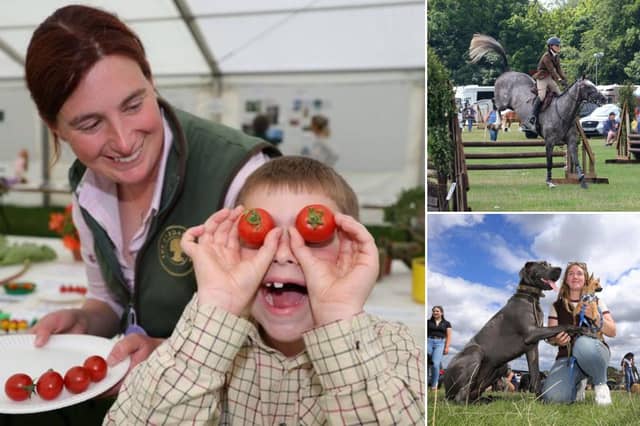 Ryedale Show 2025