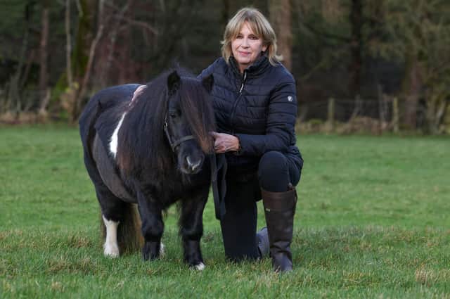 Flair with her owner and breeder, Di Johnston of Parlington Miniature Shetland Stud in North Yorkshire. photo: VetPartners