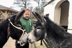 Daffodil and Princess can celebrate the festive season together now they have been reunited at Sewerby Hall.