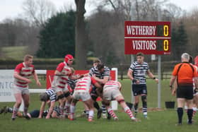 Pocklington RUFC's Andy Argo-Bennett tries to find a way through at Wetherby. PHOTO BY PHIL GILBANK