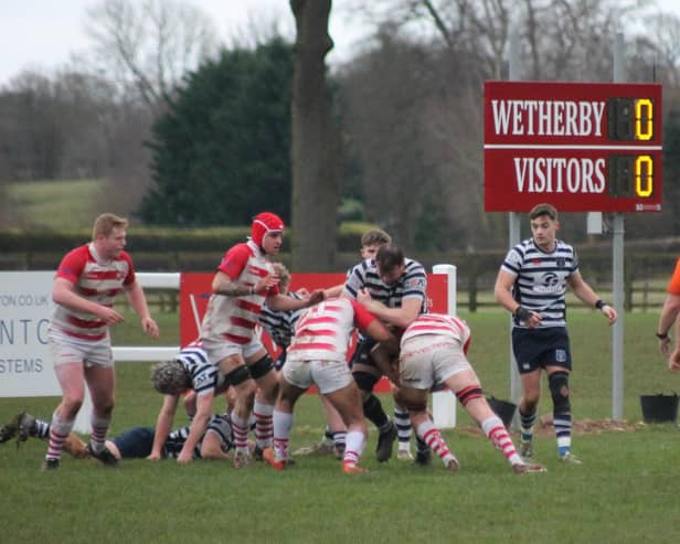 Pocklington RUFC's Andy Argo-Bennett tries to find a way through at Wetherby. PHOTO BY PHIL GILBANK