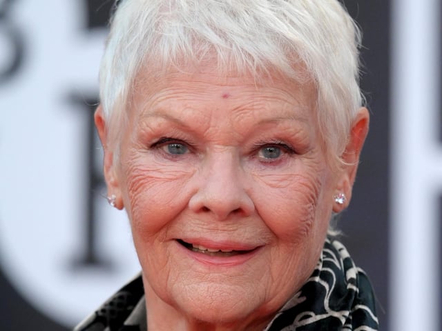 Yorkshire has produced many famous and highly talented actors including Judi Dench, who grew up in York; Sean Bean, who grew up in Sheffield; and late Richard Griffiths, who spent his childhood in Thornaby-onTees. Scarborough-born Charles Laughton – star of The Hunchback of Notre Dame and Mutiny on the Bounty – won two Oscars and directed movie classic Night of the Hunter.