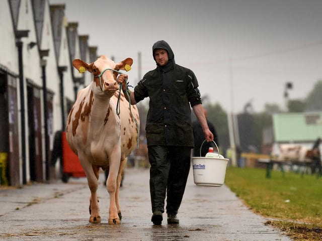 Day one of the Great Yorkshire Show in Harrogate
