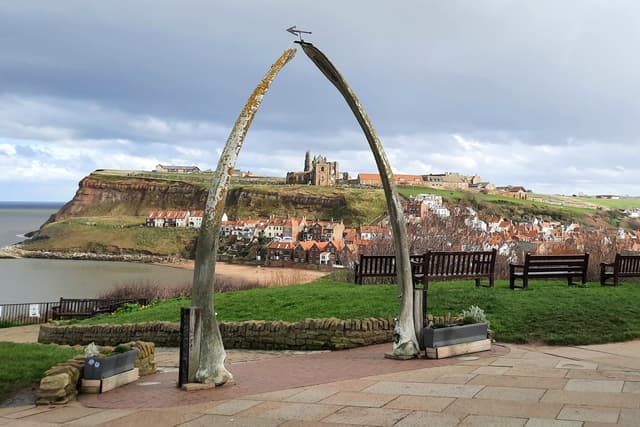 Whitby-Walknochen: Was SIE zu den Plänen zum Ersatz des verfallenden ...