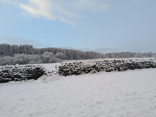 Plenty of snow here!