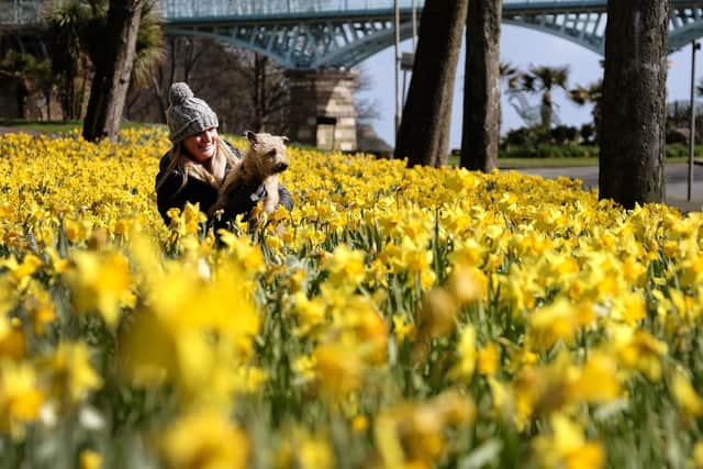 Easter half-term in Scarborough, Whitby and Bridlington is expected to be start chilly, with sunny spells and showers predicted by the Met Office. Photo: Richard Ponter