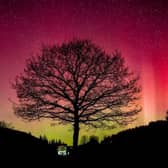 Stunning images of the Northern Lights captured by Astro Dog from Dalby Forest.