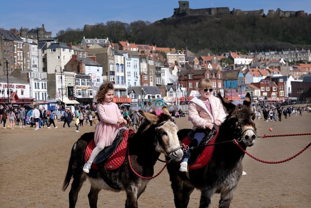 A traditional donkey ride in the sunshine.
