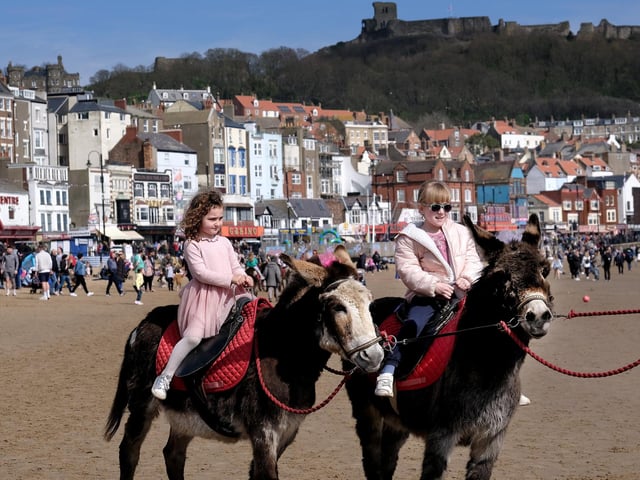 A traditional donkey ride in the sunshine.