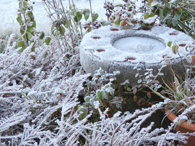 Heavy frost on bird bath in Scarborough, by Tony Freeman.