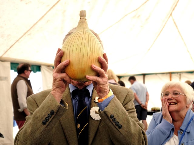This judge really knows his onions