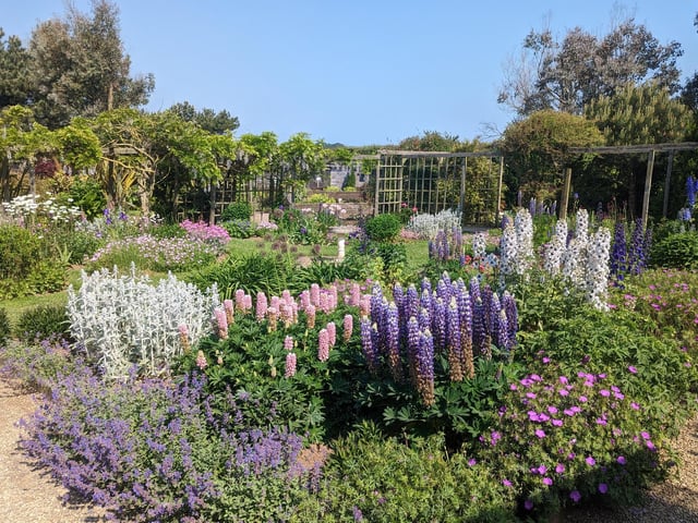 The Cottage Garden in the summer
