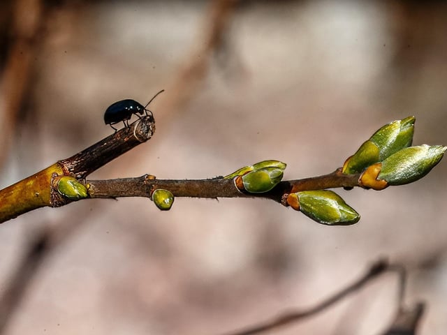 Signs of spring, by Brian Murfield.