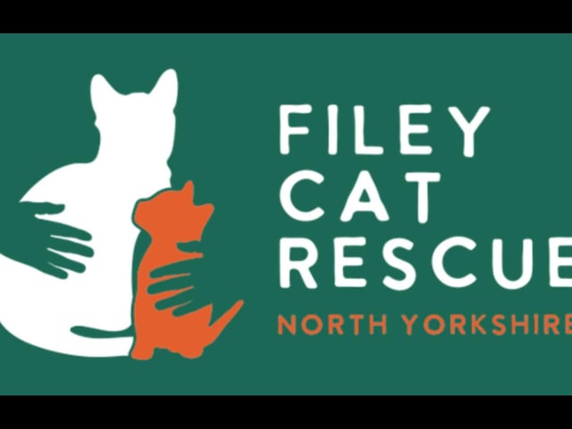 The sanctuary has helped over 1600 cats and kittens over the last two years