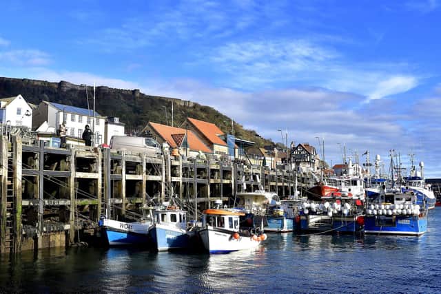 Scarborough harbour. photo: Richard Ponter