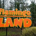 Flamingo Land incident: Air ambulance lands at Flamingo Land as man suffers knife wound to chest at caravan park